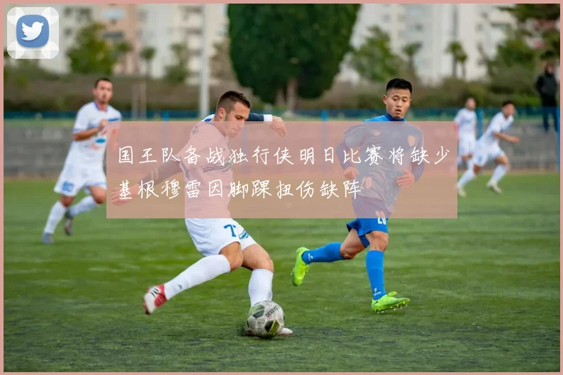 国王队备战独行侠明日比赛将缺少基根穆雷因脚踝扭伤缺阵