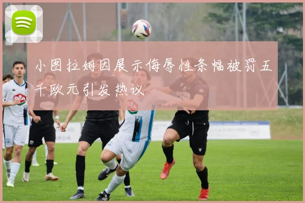 小图拉姆因展示侮辱性条幅被罚五千欧元引发热议