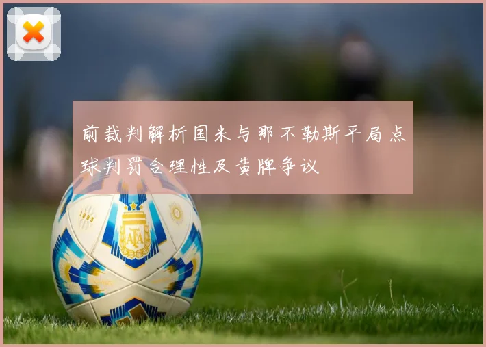 前裁判解析国米与那不勒斯平局点球判罚合理性及黄牌争议