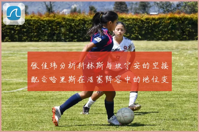 张佳玮分析科林斯与坎宁安的空接配合哈里斯在活塞阵容中的地位变化